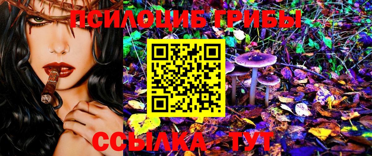 Галлюциногенные грибы Cubensis Электросталь