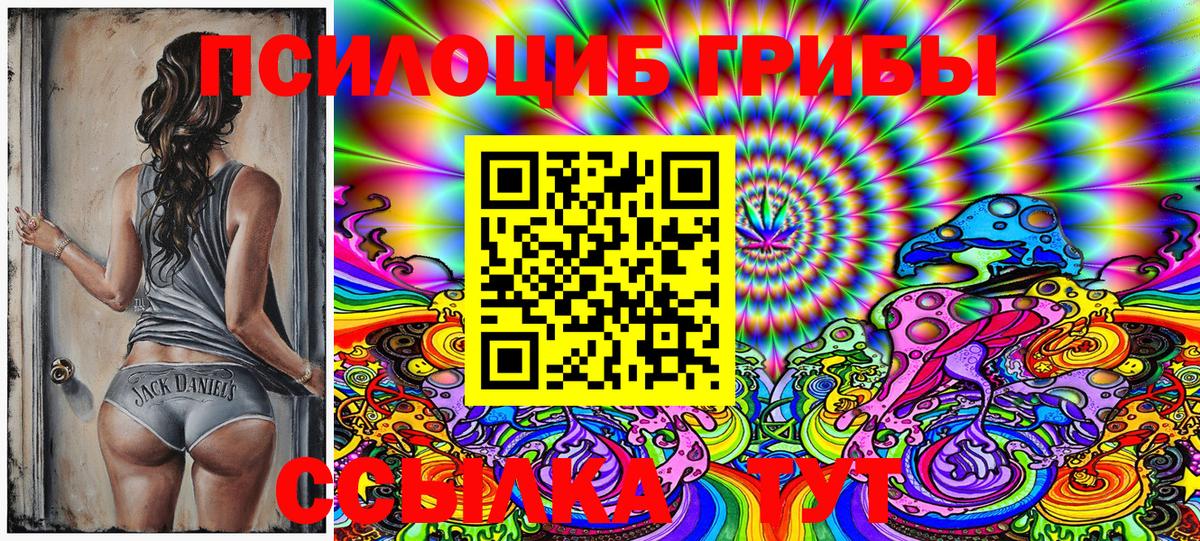 Электросталь  Псилоцибиновые грибы MAGIC MUSHROOMS  где купить наркоту  Вход с VPN 